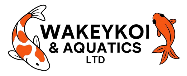 Wakeykoi