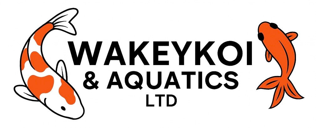 WakeyKoi & Aquatics Ltd