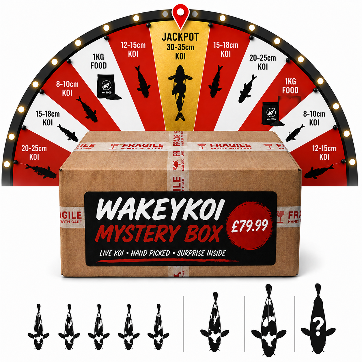 Wakeykoi Mystery Box
