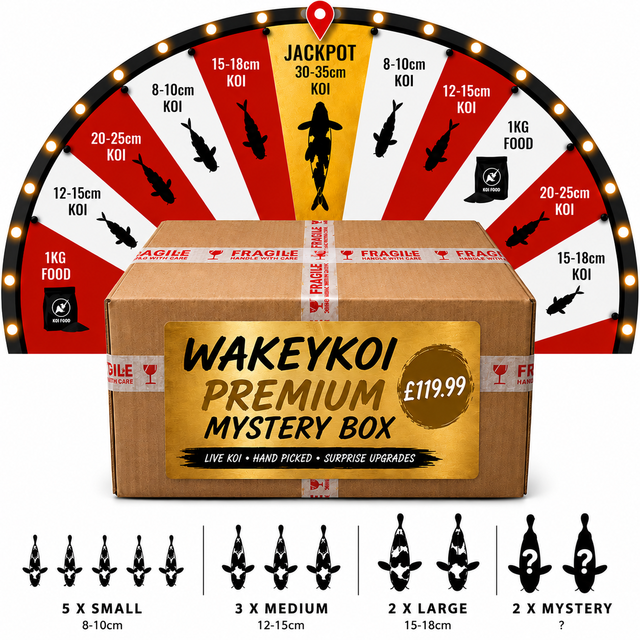 Wakeykoi Premium Mystery Box