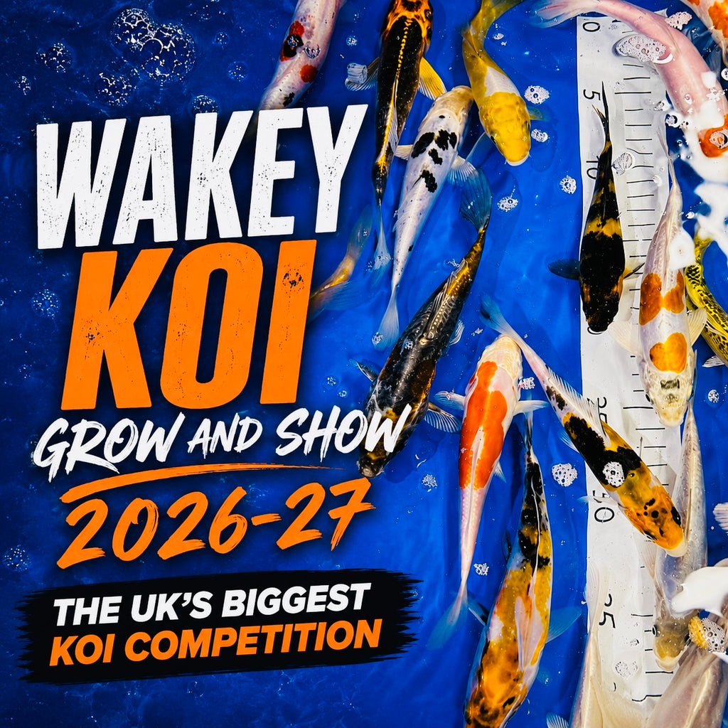 WAKEYKOI 2026-27 GROW AND SHOW - SHIPMENTS 7-14 JUNE