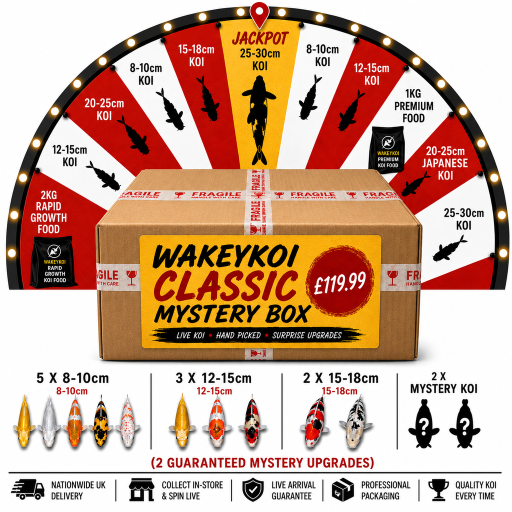 Wakeykoi Classic Mystery Box