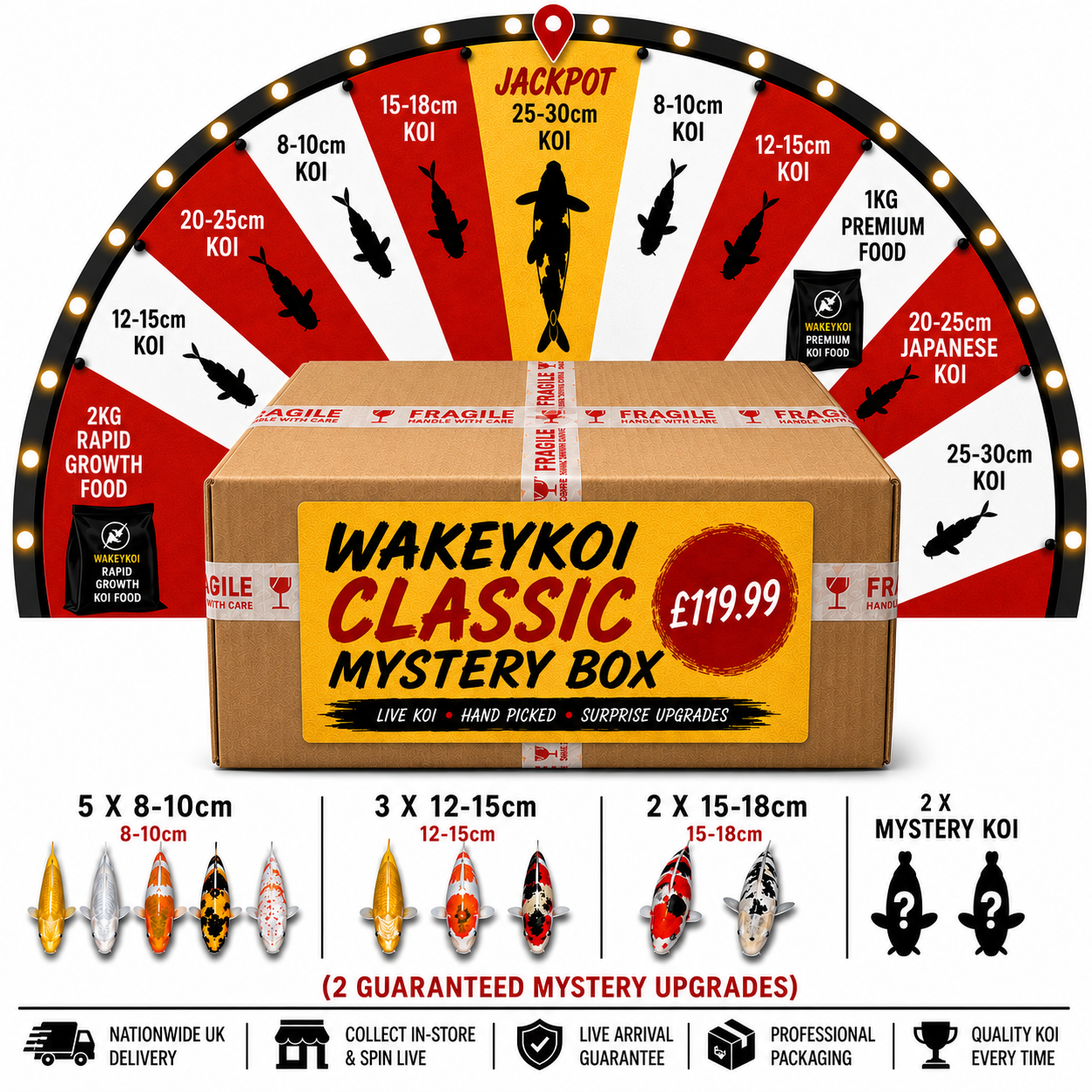 Wakeykoi Classic Mystery Box
