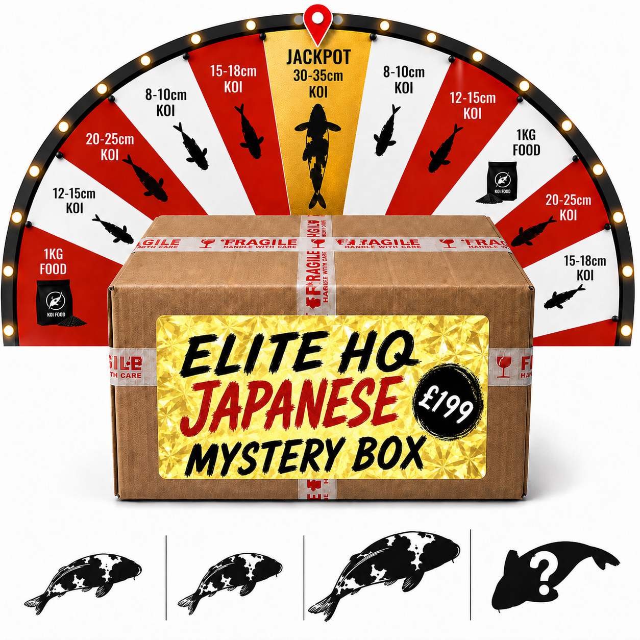 Elite HQ Japanese Koi Mystery Box