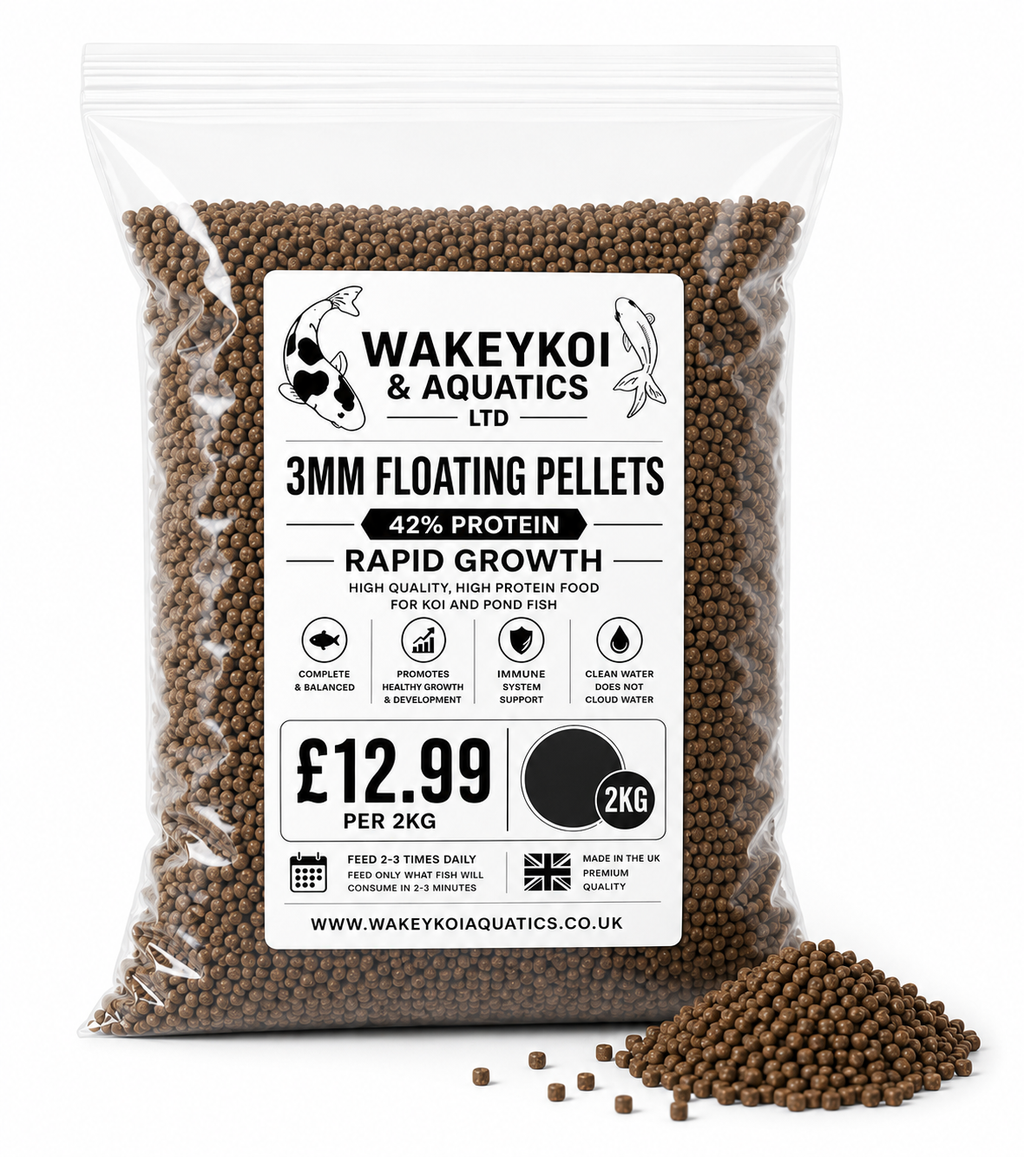 Wakeykoi Grow on Box + Rapid Growth Food