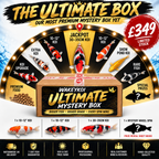 Wakeykoi Ultimate Mystery Box