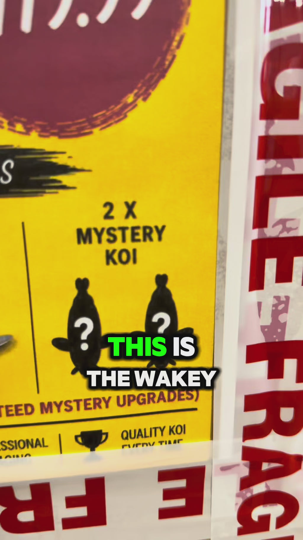 Wakeykoi Classic Mystery Box