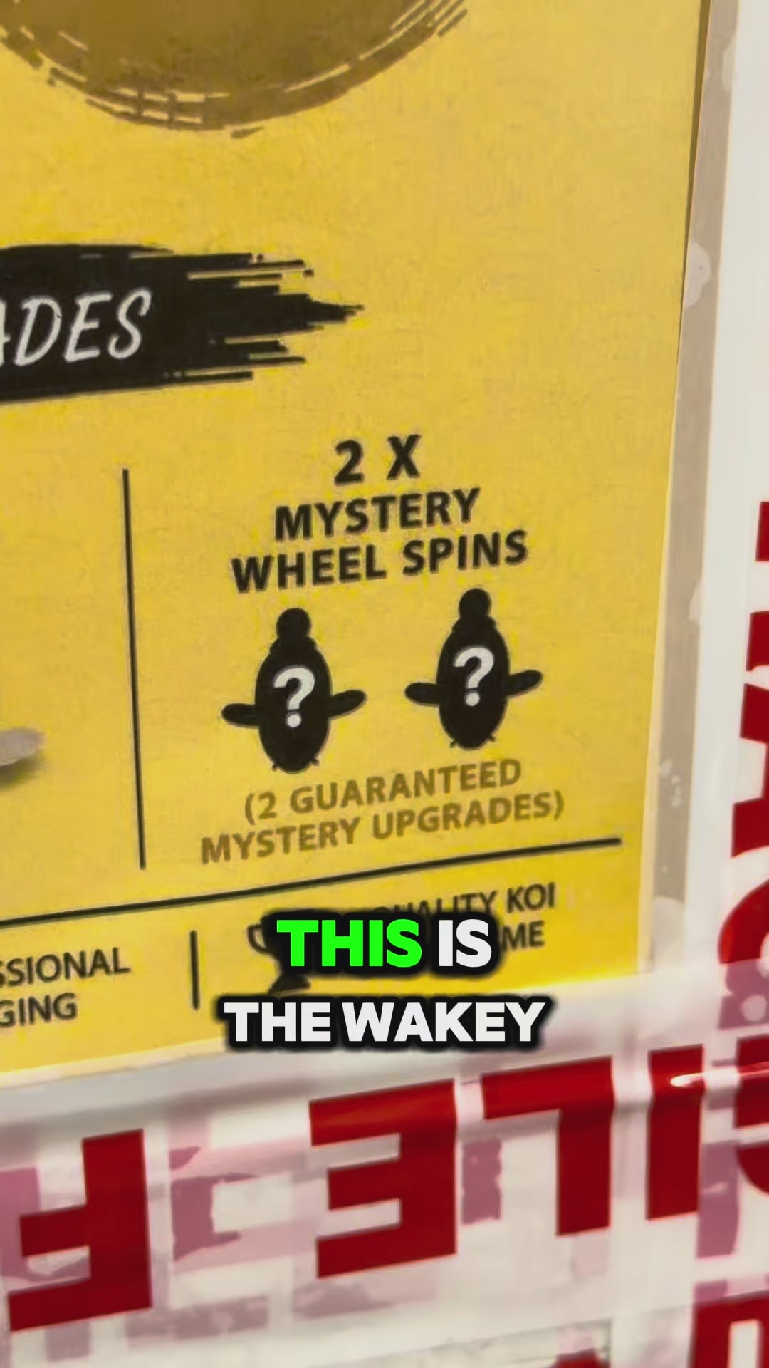 Wakeykoi MEGA Mystery Box