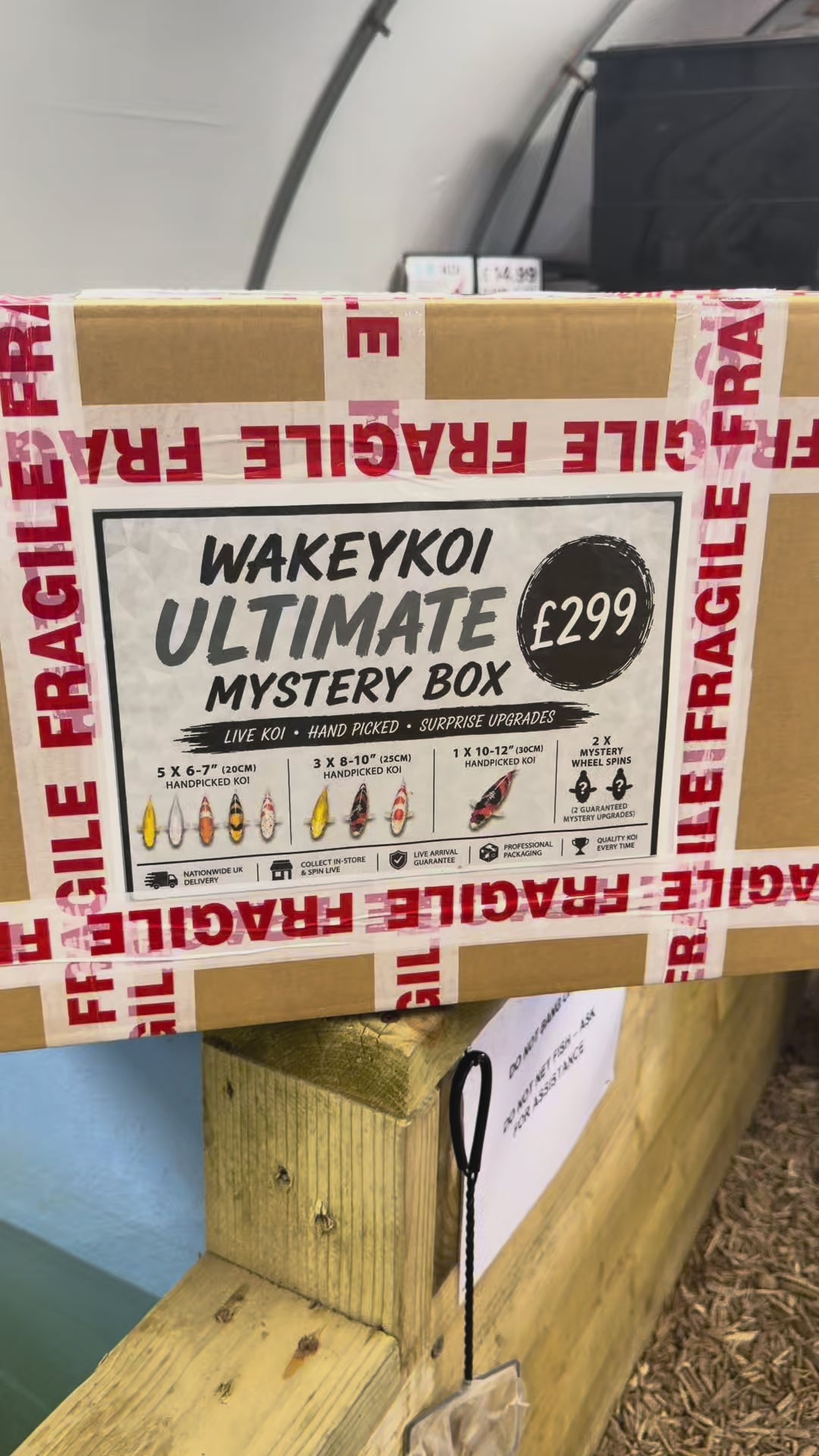 Wakeykoi ULTIMATE Mystery Box