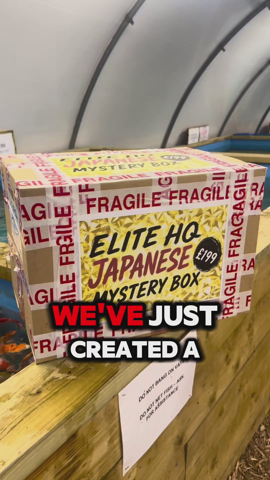 Elite HQ Japanese Koi Mystery Box